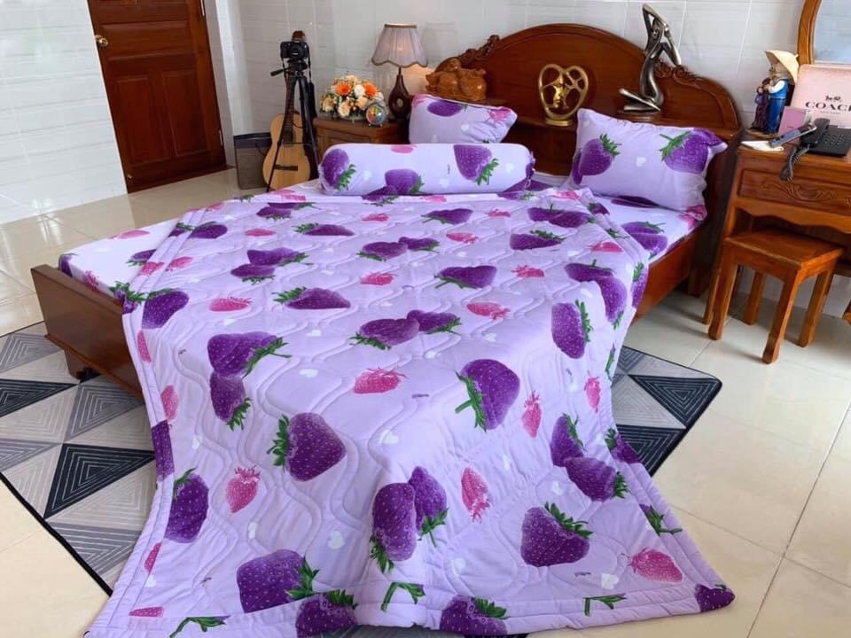 Bộ drap ga thun Hàn quốc