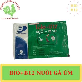 BIO B12  ÚM GÀ CON THÁI LAN  1 gói  20 gram
