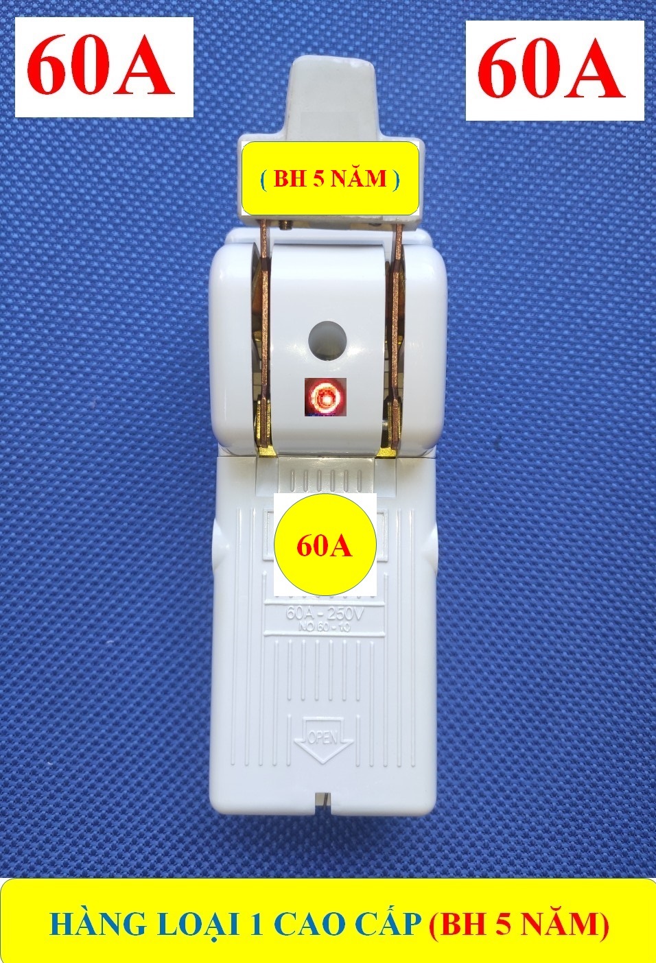 CẦU DAO SỨ 60A 2 PHA (BH 5 NĂM) + Cực ĐỒNG TO đúc 100% HÀNG LOẠI 1 Cao Cấp (bộ 1 sản phẩm)