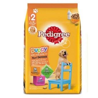 PEDIGREE Thức ăn hạt cho chó con 2.7kg -  [PET UNIVERSE]