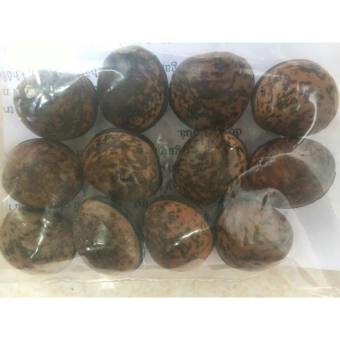 HẠT ĐẬU LÀO (1hat GIÁ DÙNG THỬ)