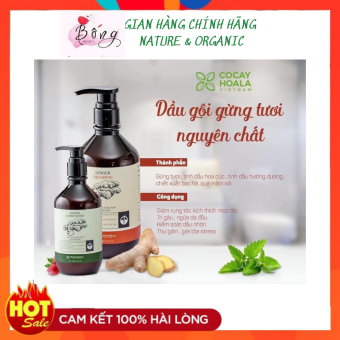 Cặp Dầu Gội gừng - dầu xả Gừng Tươi hết gàu ngứa kích thích mọc tóc Cocayhoala 500 ml 300ml