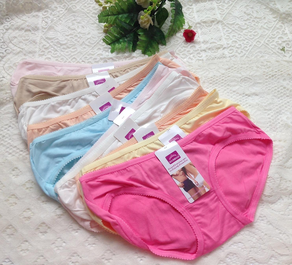 Combo 5 quần lót cotton thái co giãn 4 chiều