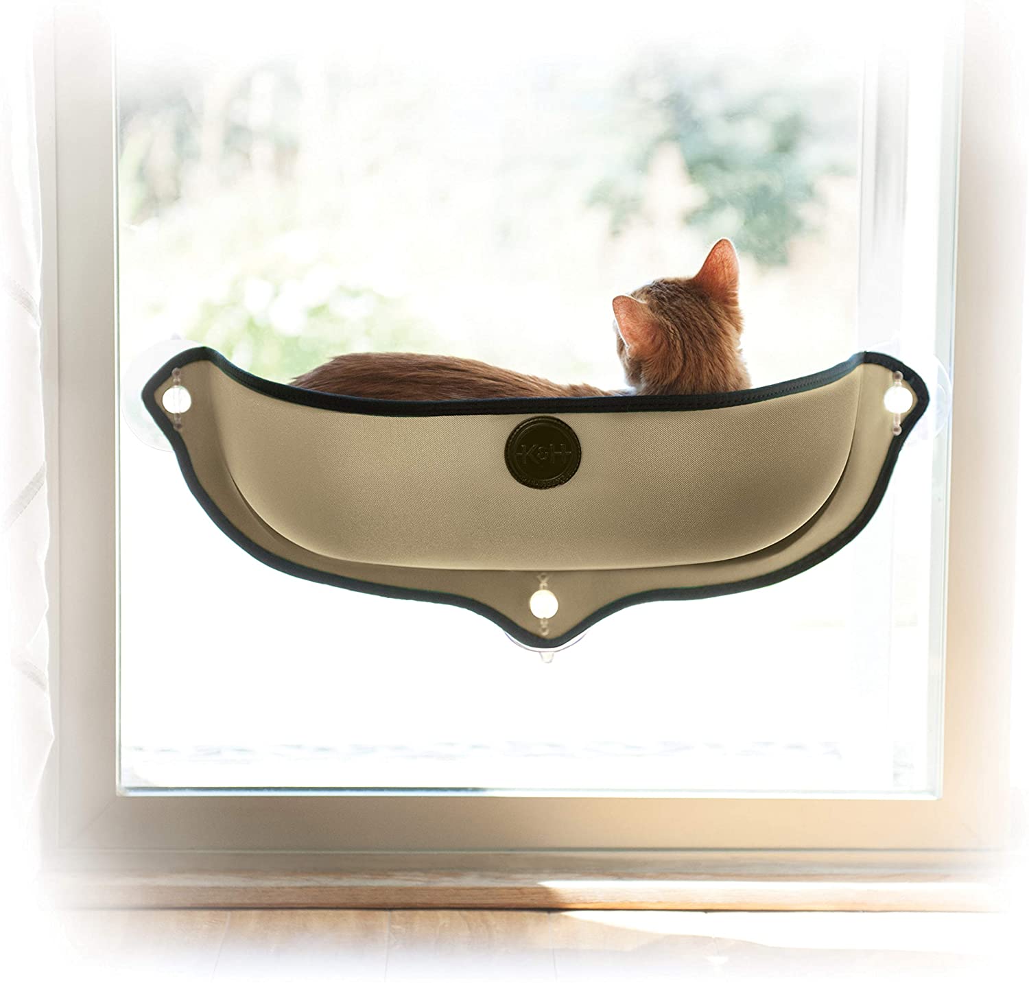 cat bed with windows