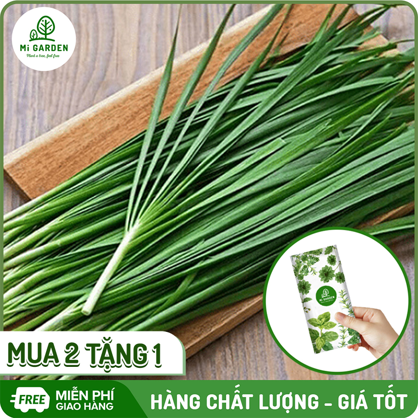 [MUA 2 TẶNG 1] Hạt giống Hẹ ăn lá Mi Garden, hạt giống dễ trồng, dễ chăm sóc