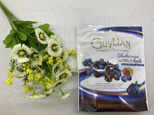 Kẹo Socola Guylian nhân trái cây sấy khô Bluberries-Raisins-Cranberries - Bỉ