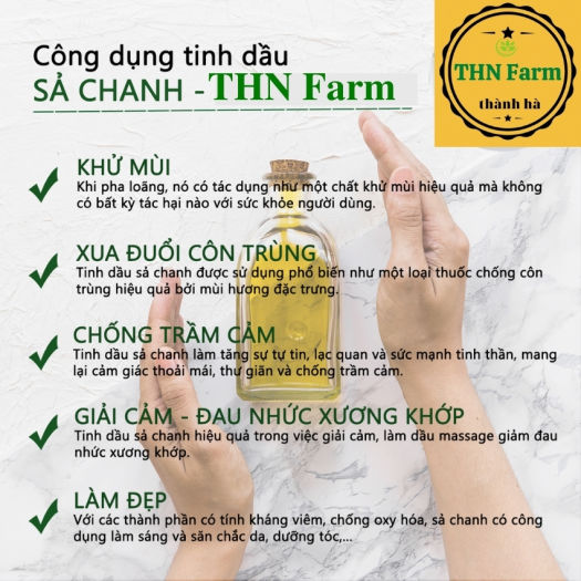 TINH DẦU XẢ  NGUYÊN CHẤT Đuổi Muỗi Côn Trùng.Tinh Dau Sả Chanh Lau Nhà Khử Mùi Kháng Khuẩn/dầu sả ép nguyên chất 100%.CHỐNG MUỖI -DIỆT MUỖI-LÀM ĐẸP  -LAU NHÀ.THN Farm +Tặng Kèm Quà