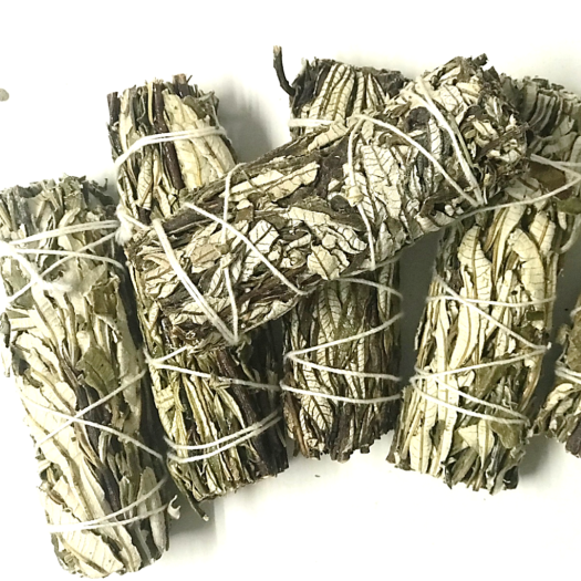 Bó lá mix lá xô thơm trắng và "cây thánhin White Sage + Yerba Santa Smudge Incense 3"-4in Bundle