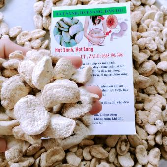 HẠT SÀNH (HẠT SANG) RỪNG LOẠI GIÀ, RUỘT TRẮNG, 1 GÓI 10 HẠT GIẢI QUYẾT VẤN ĐỀ DẠ DÀY