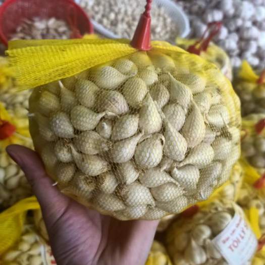 500Gr Tỏi Cô Đơn Lý Sơn/ Tỏi Một Tép Đặc Sản Lý Sơn Quảng Ngãi|Đặc Biệt Loại To