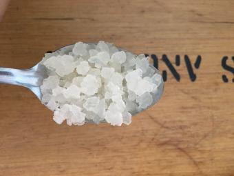 Freeship!Nấm nước Water Kefir + Tặng Kombucha