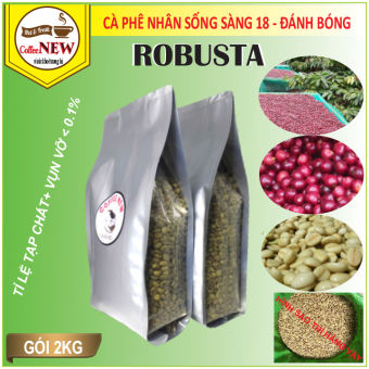 2KG Cafe nhân sống ROBUSTA Chưa Rang Hàng Chất Lượng Cao Chuẩn Xuất Khẩu Sàng 18 Bắn Màu Đánh Bóng Sạch Sẽ - Coffee New
