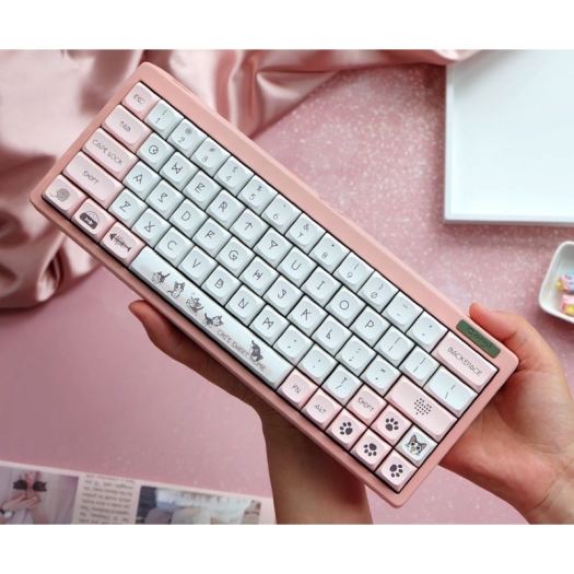 12+ Loại Keycap cho bàn phím cơ phổ biến: Chất liệu, profile và đặc điểm 5 12+ Loại keycap bàn phím cơ phổ biến: Chất liệu, profile và đặc điểm