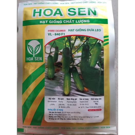 Hạt giống dưa leo Hoa Sen 840