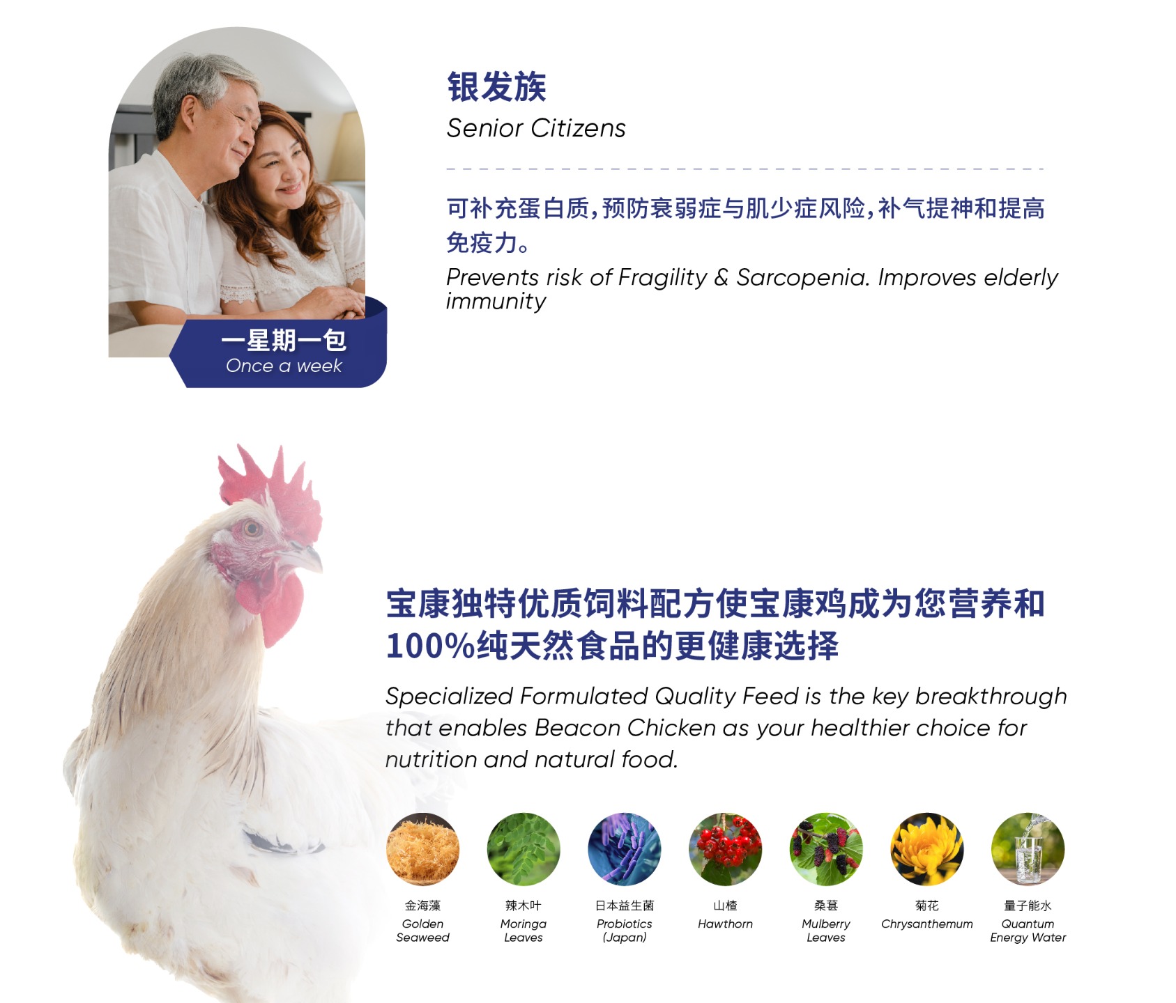 Beacon Seaweed Chicken Pure Essence (80ml X 6pack) – The Homecare Shop