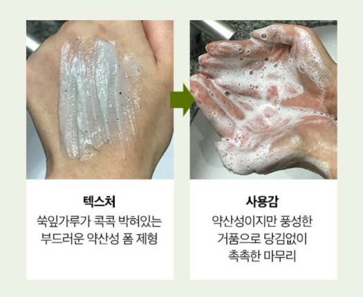 Sữa rửa mặt ngải cứu Bring Green Artemisia PH Cleasing Foam