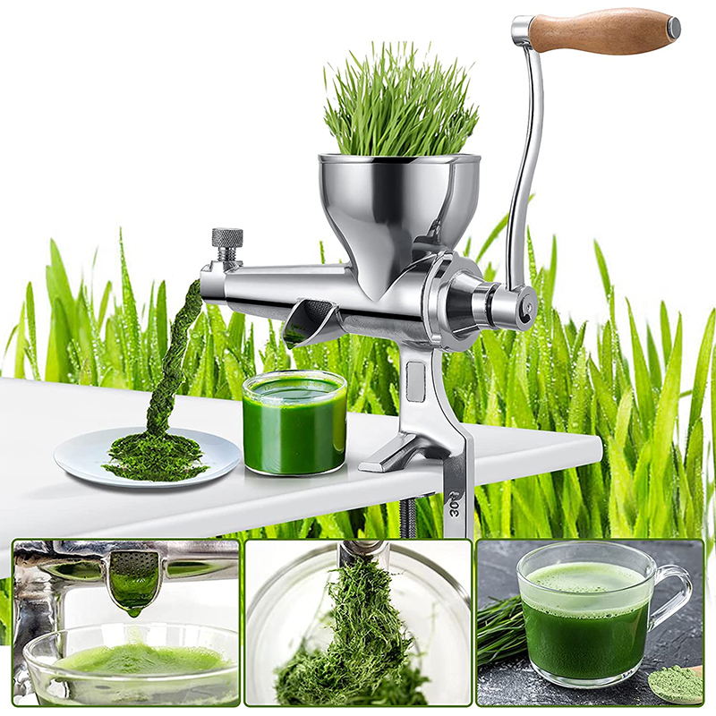 Wheat Grass Juicer Best Price in Singapore Feb 2024 Lazada