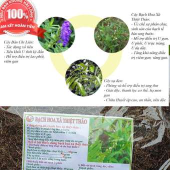 500G Cây bạch hoa xà thiệt thảo