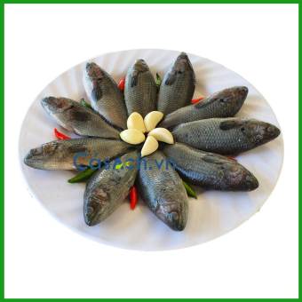 Cá Rô Bí Đồng Nguyên Con - CKFoods - Túi 200g
