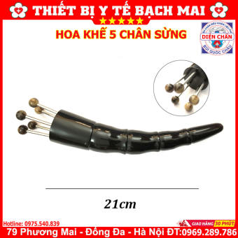 Hoa Khế 5 Chân Sừng Bách Chi - Dụng Cụ Diện Chẩn