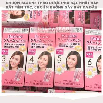 Thuốc nhuộm phủ bạc thảo dược Blaune Nhật Bản