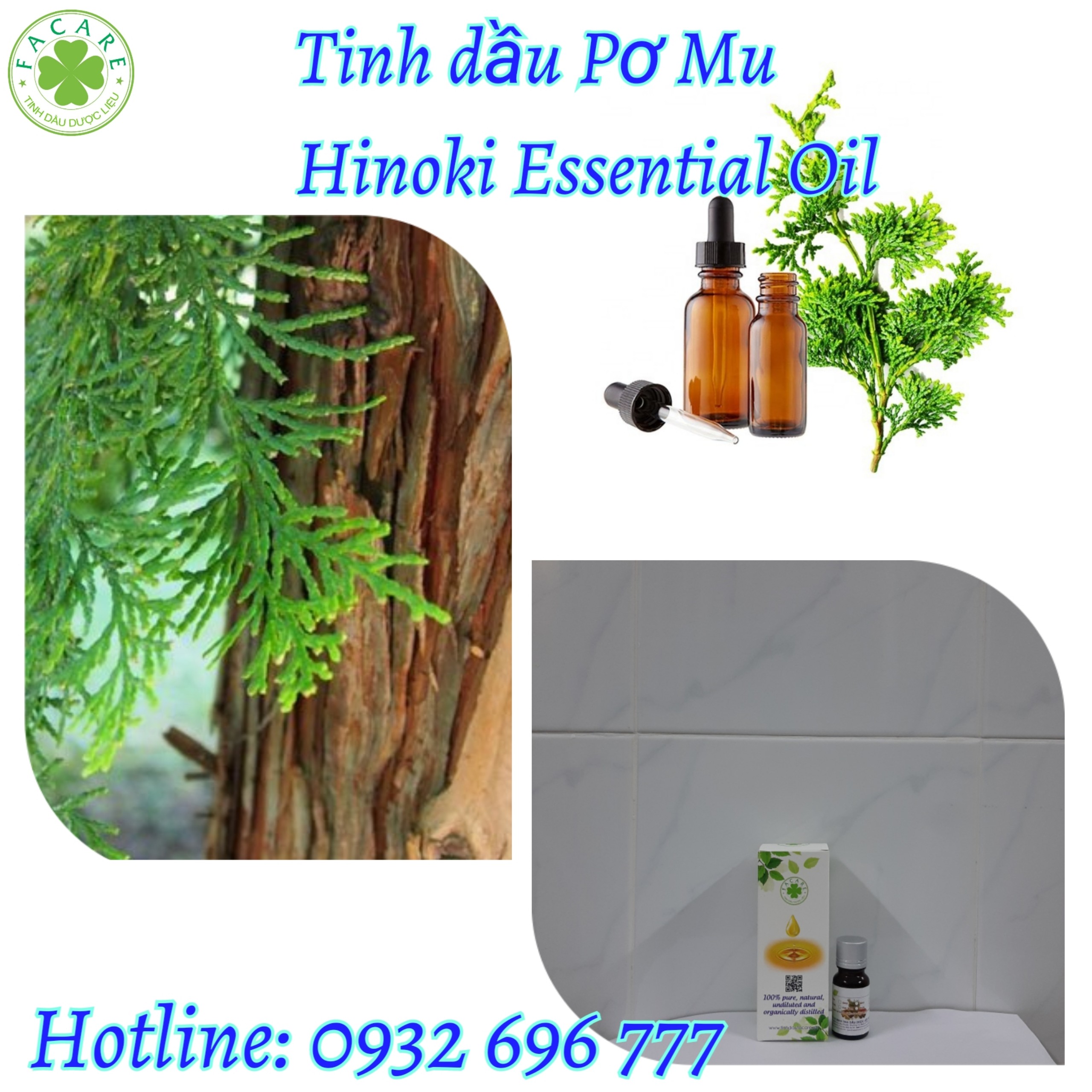 Tinh dầu Pơ Mu Hinoki essential oil - 10ml
