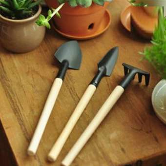 Bộ dụng cụ làm vườn 3 món, dụng cụ chăm sóc cây cảnh bằng kim loại - DMA store