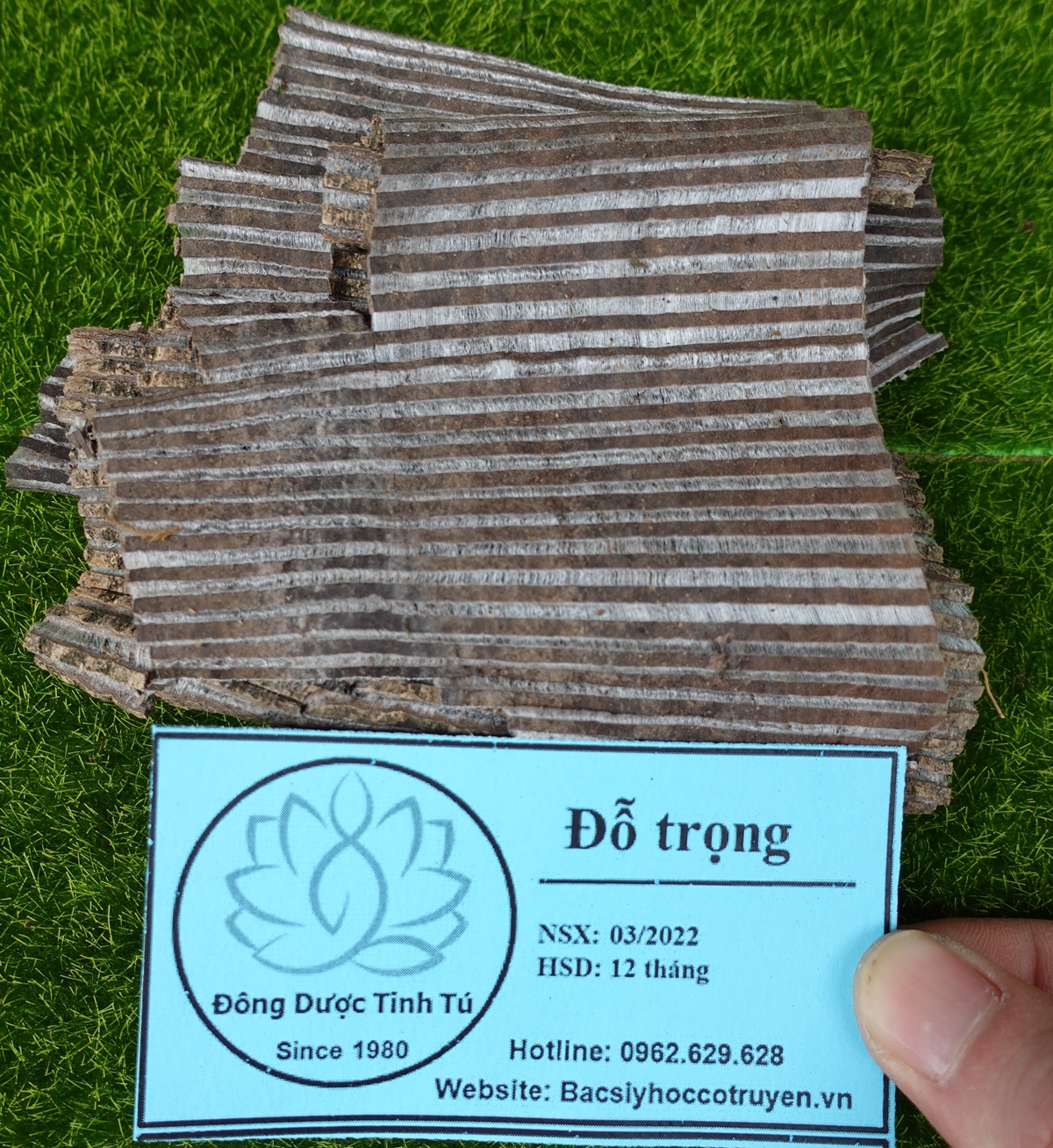 Đỗ trọng 100g, dược liệu loại 1, khô, sạch