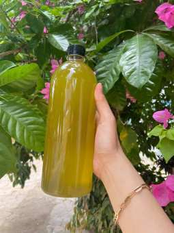 mật ong nguyên chất hoa bạc hà chai 1 lít chuẩn cao nguyên đá hà giang