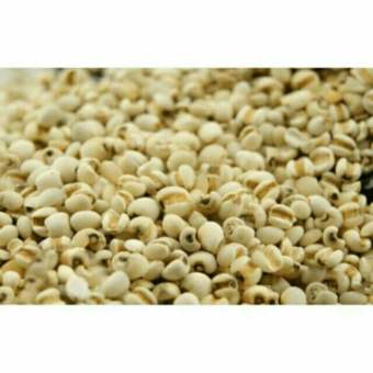 200g hạt ý dĩ ( bo bo)