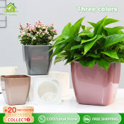 Eco Garden Plant Pot Indoor/Outdoor Self Watering Flower Pot Double layer Purifying air Auto Irrigate Home Decor Garden Supplies Office Desk Decoration Succulents Planters Pot Flower Pots Imitation metal Three Colors