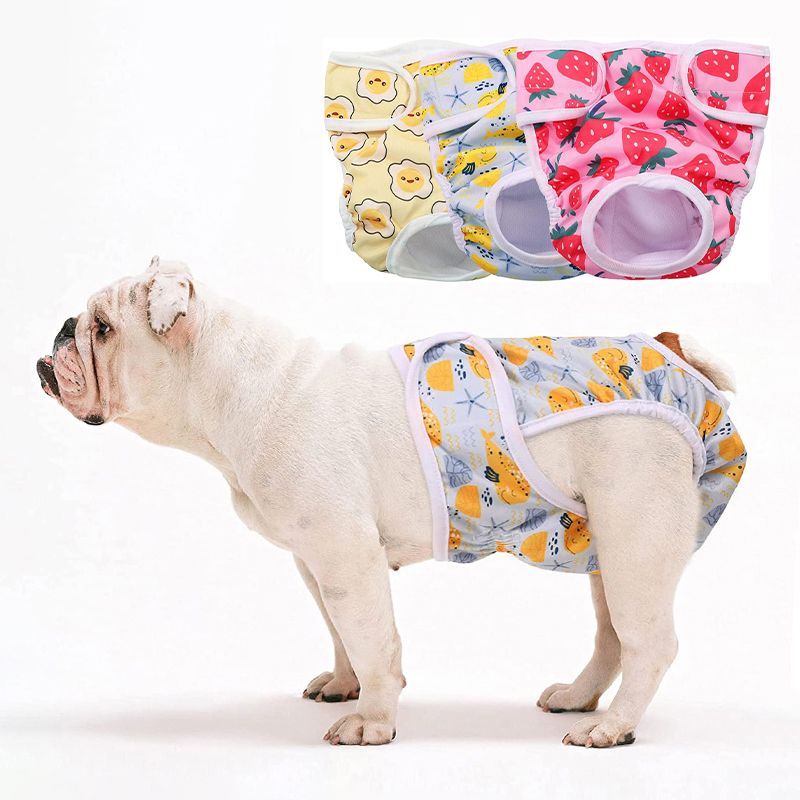 best dog period pants