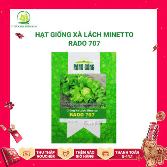 hạt giống xà lách Minetto RADO 707 | Giống khoẻ, tỉ lệ nảy mầm đến 90% (2g)