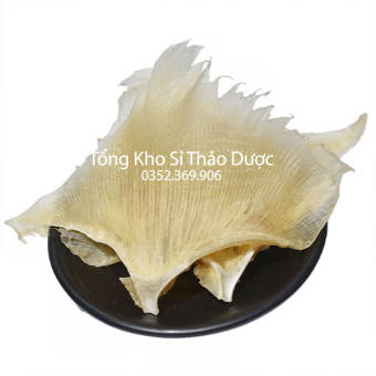 Vi cá mập nguyên miếng 100g (Tốt cho xương khớp, sáng mắt, nấu súp bào ngư)