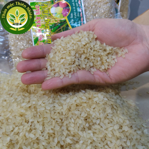 Nếp Thóc Tú Lệ (Khẩu Hang) chuẩn ngon - Đặc sản Tây Bắc vừa thơm vừa dẻo, dùng nấu xôi hoặc nấu cháo rất dinh dưỡng, tốt cho người ăn kiêng và trẻ em [1Kg] l Kho thảo mộc thiên nhiên