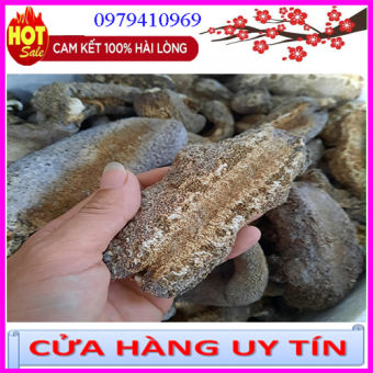 Hải sâm da chăn 1 con y hình. Hải sâm da trăn. Ngận da chăn. Đồn đột da trăn. Dưa chuột biển
