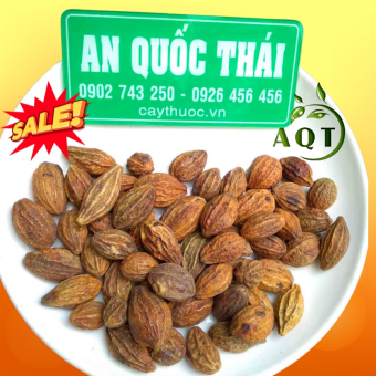 Quả Kha Tử Trị Ho 500g (Hạt To, Sạch, Đẹp), Kha Tử Ngậm Chữa Ho, Giảm Viêm Đau Họng, Rát Họng, Khản Tiếng