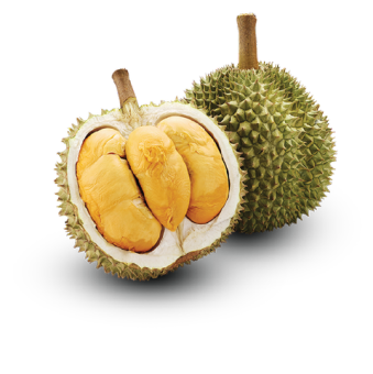 Sầu Riêng Blackthorn Nguyên Trái - Foodmap Fruits - Trái 1,3-1,5kg