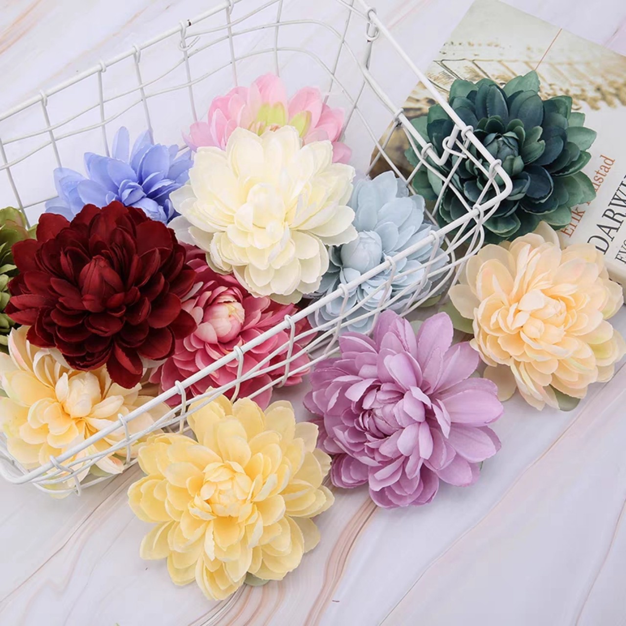Đầu bông thược mâm xôi ,hoa thược dược kích thước lớn 13cm