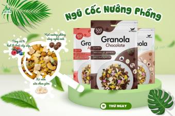 Ngũ Cốc Nướng Phồng Granola Giảm Cân Ăn Kiêng Befresco Siêu Ngon 11 Loại Hạt Mix Sữa Chua Sấy Khô 500G