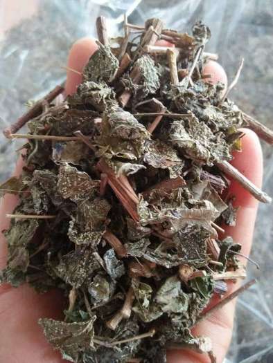  Chè dây Cao Bằng 