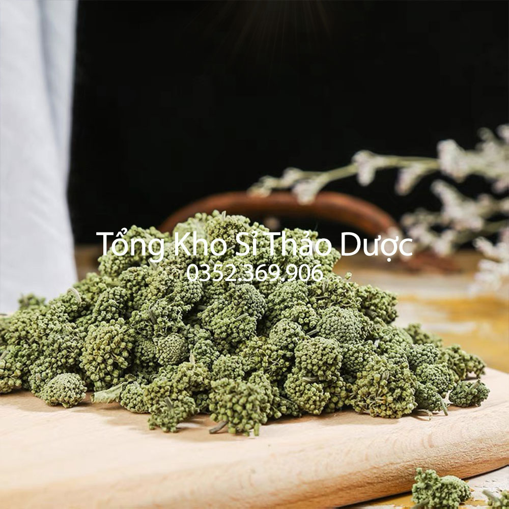 Nụ hoa tam thất không cuống 100g