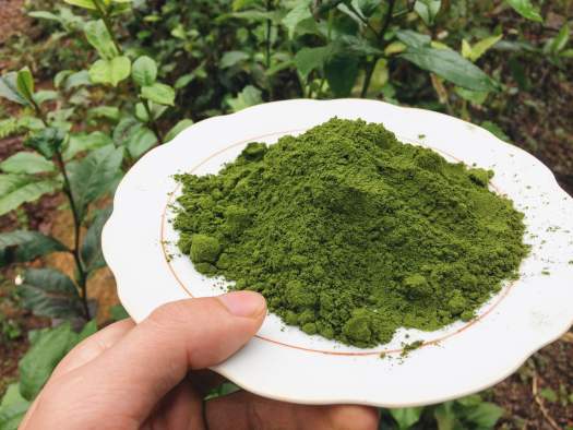 Bột trà xanh Matcha