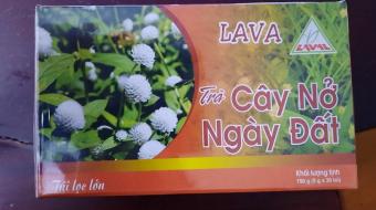 Trà Cây nở ngày đất Lava