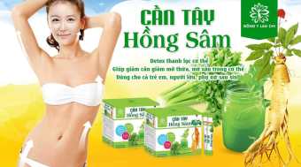 Cần Tây Hồng Sâm Lan Chi ( 5goi): thanh lọc cơ thể, giảm mỡ, đẹp dáng, đẹp dáng