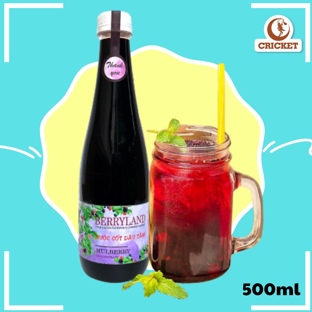 Nước Cốt Dâu Tằm Beryland 500ml- dùng trong pha chế, đồ uống, nguyên vị dâu tằm