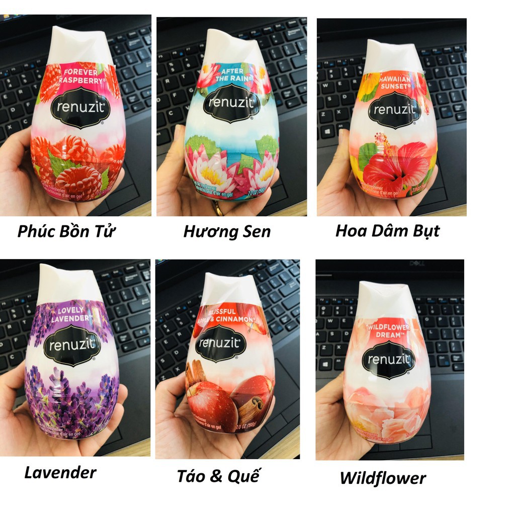 [HCM]Sáp Thơm Phòng Renuzit Blissful Apple Cinnamon hương táo & quế 198g - Hàng nhập Mỹ