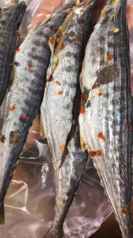 KHÔ CÁ THU LẠT ,KHÔNG ĐẦU THỊT THƠM NGON, ĐẶC SẢN MINH TRIẾT 500GR