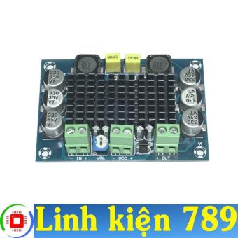 Mạch khuếch đại 12-24VDC 100W mono TPA3116D2