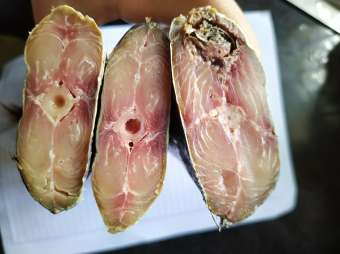 con 1,1kg - 1.2kg mắm cá thu hương - đã bỏ đầu